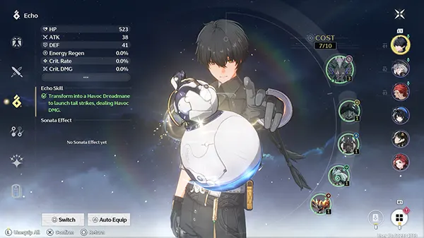 Echo Skill System